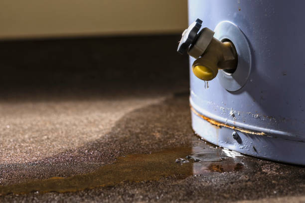 Reliable Boulevard Park, WA Water damage restoration Solutions