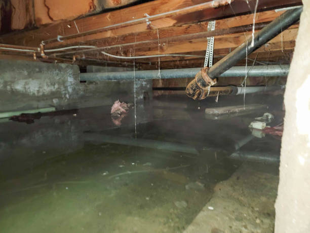 Fire Damage Restoration in Boulevard Park, WA