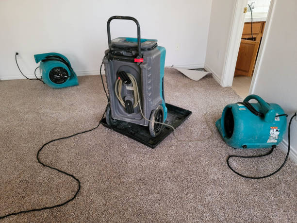 Best Fire Damage Restoration  in Boulevard Park, WA