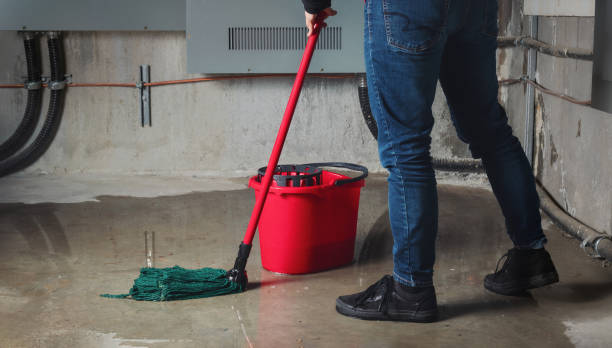 Best Professional water damage repair  in Boulevard Park, WA