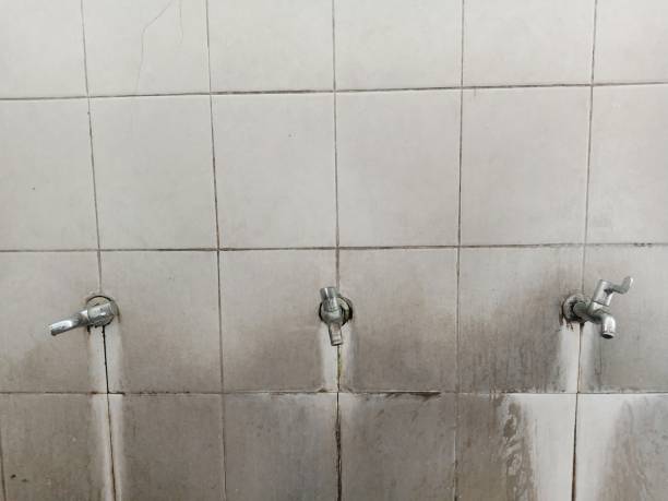 Carpet water damage restoration in Boulevard Park, WA