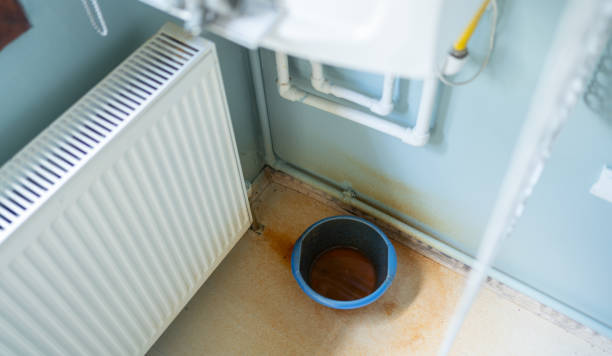 Best Flood restoration services  in Boulevard Park, WA