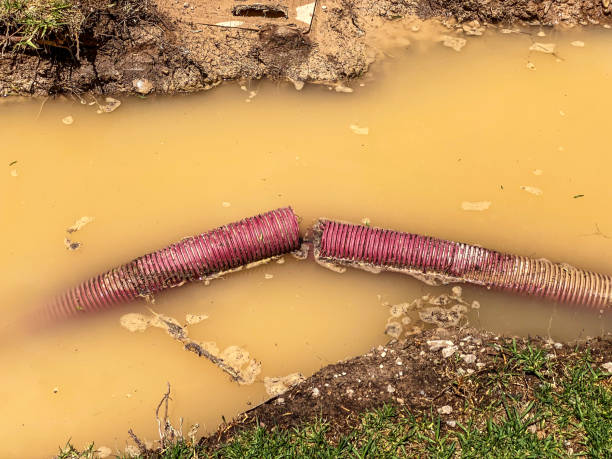 Best 24-hour water damage restoration  in Boulevard Park, WA