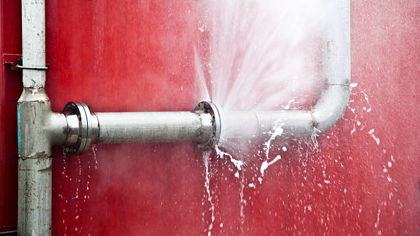 Best Residential water damage restoration  in Boulevard Park, WA